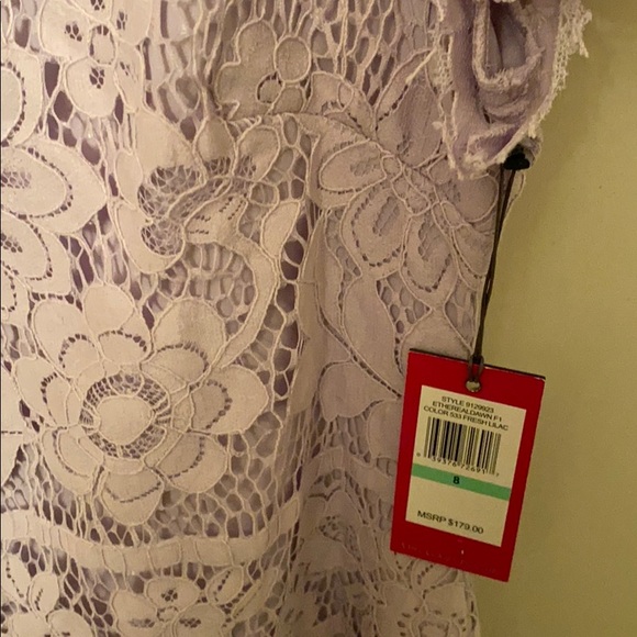 Brand new Vince Camuto lace shift dress - Picture 3 of 4